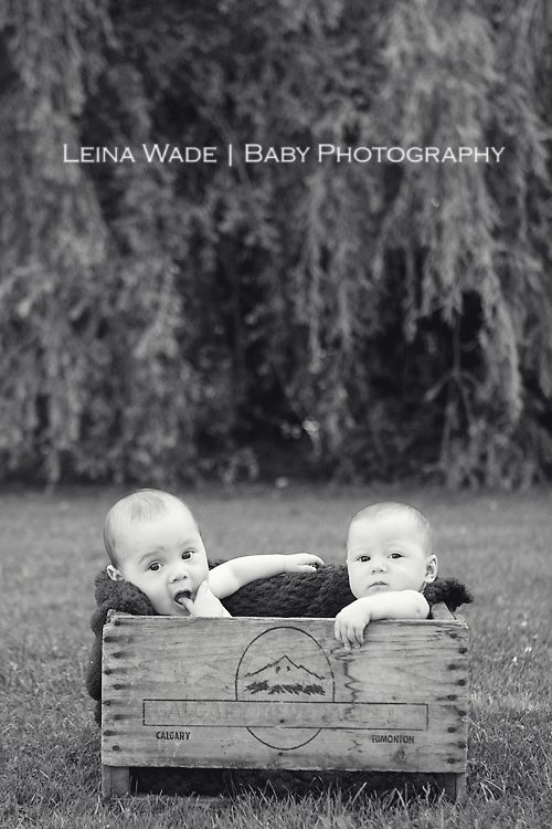 Vancouver Twin baby photography