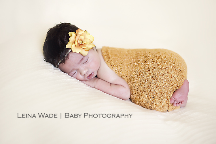Pitt Meadows Newborn Baby Photographer