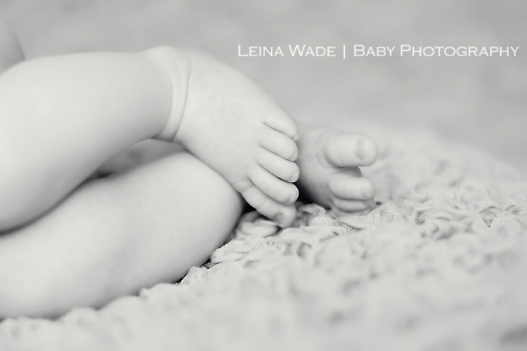 port coquitlam baby photography
