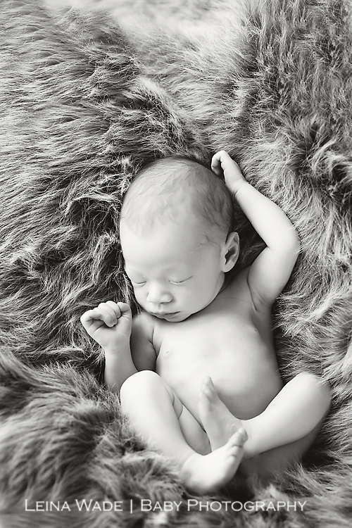 langley BC newborn photography