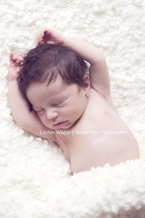 Newborn Baby Photographer Port Coquitlam