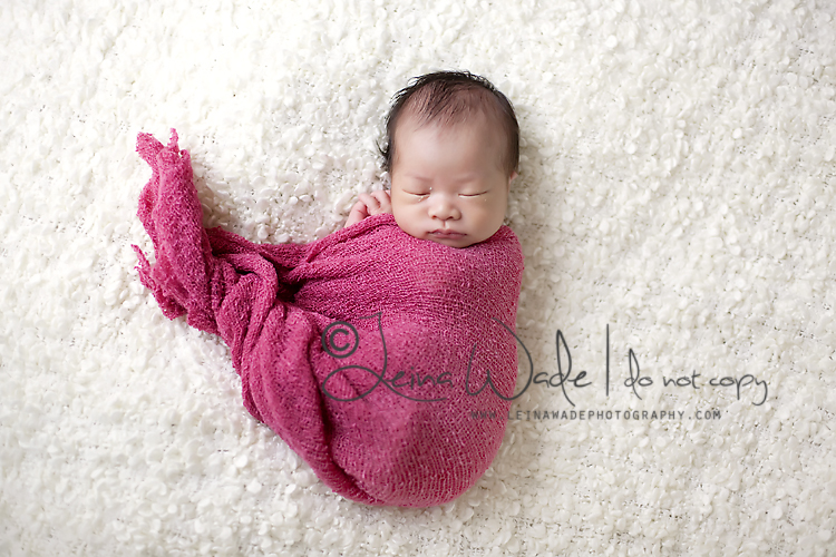 port coquitlam baby photography