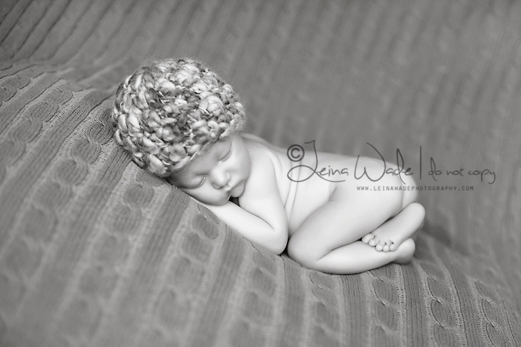 newborn photographer langley bc