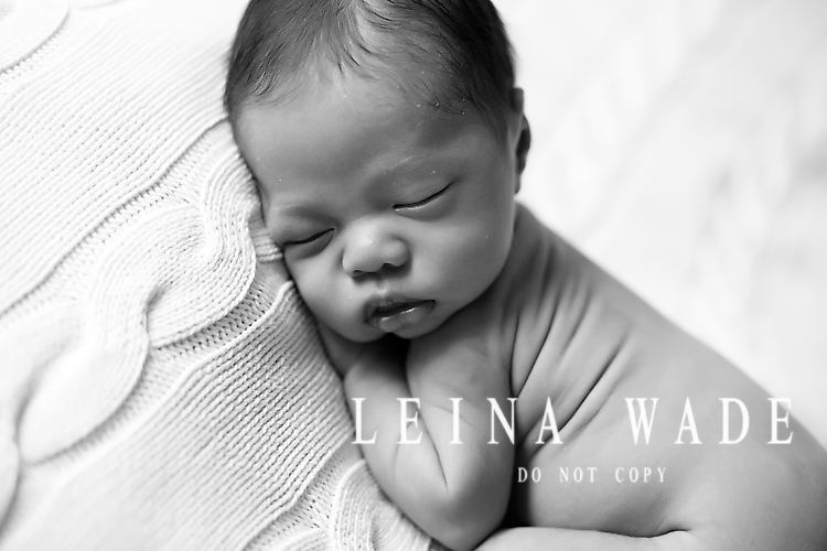 langley newborn photographer