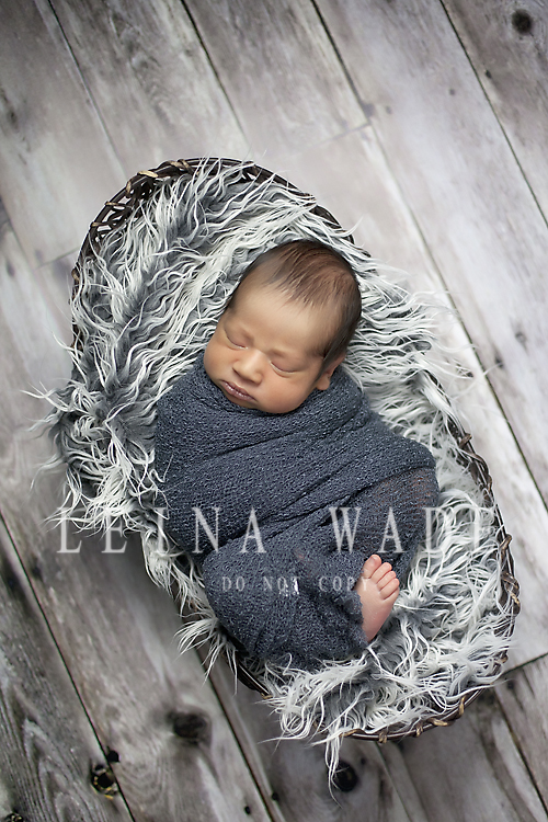 Newborn Baby Photography Maple Ridge