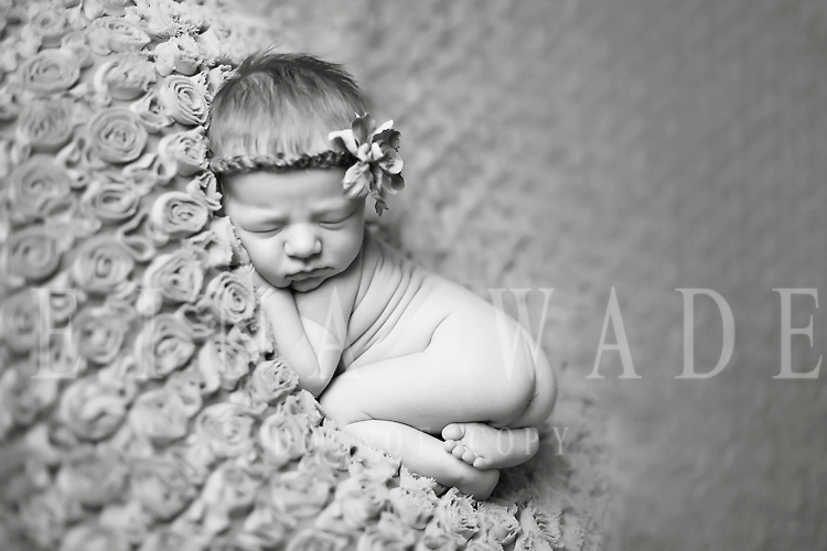 greater vancouver newborn baby photography