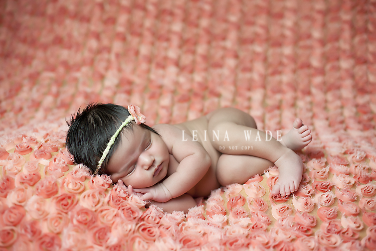 langley bc baby photography
