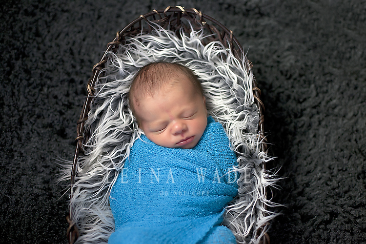 burnaby newborn photographer