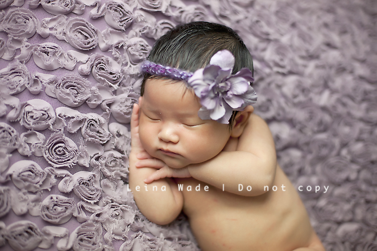 newborn baby photographer maple ridge bc