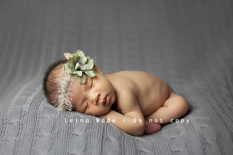 langley bc newborn photographer