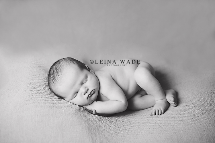surrey bc newborn baby photography