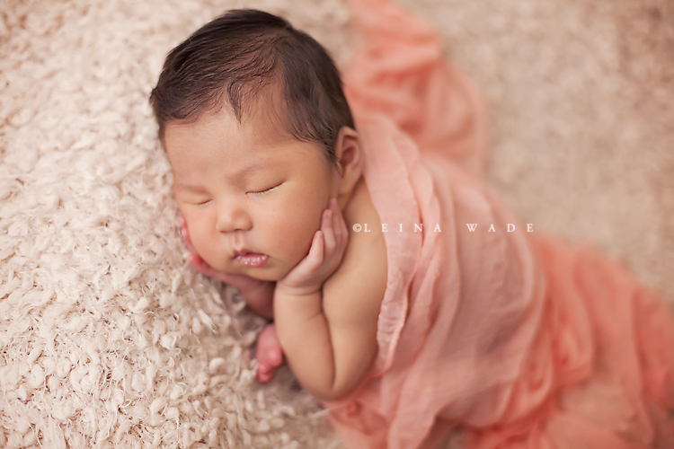 newborn baby photographer burnaby bc