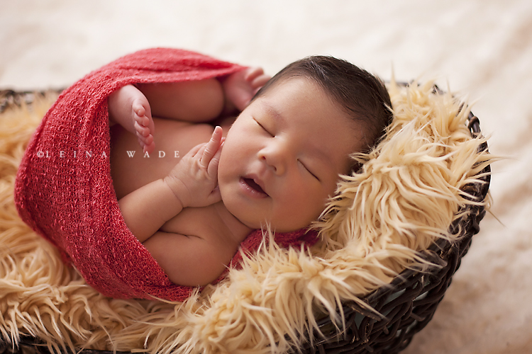 newborn photographer burnaby bc