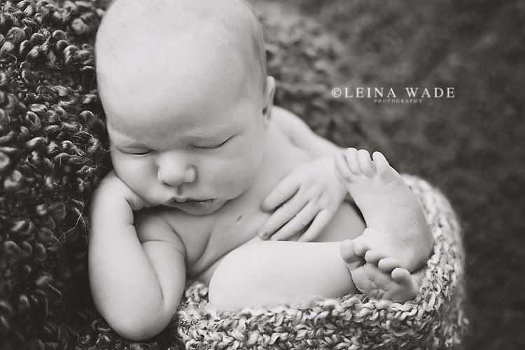 greater vancouver baby photographer