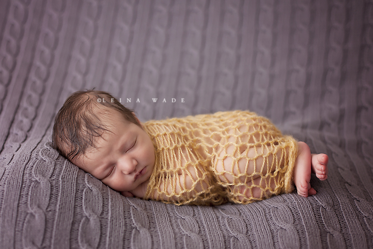 newborn baby photographer in vancouver bc