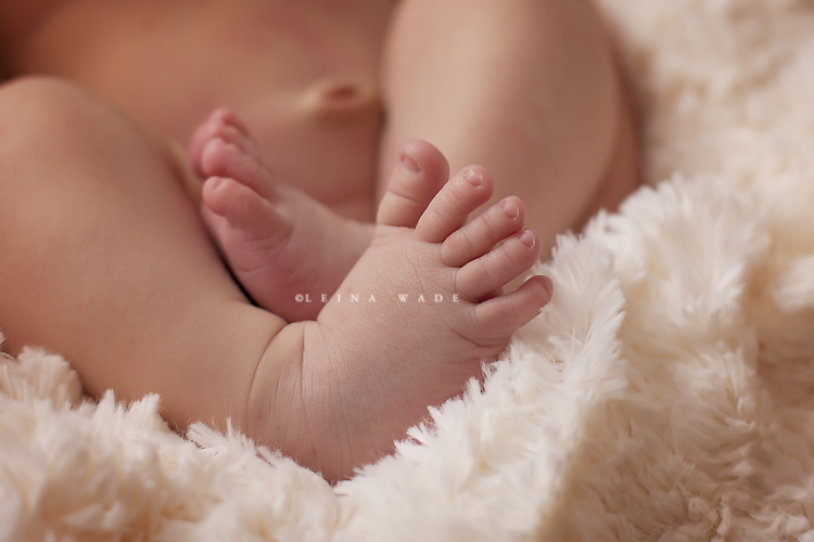 newborn baby photographer in langley bc