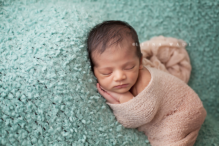burnaby bc newborn baby photography