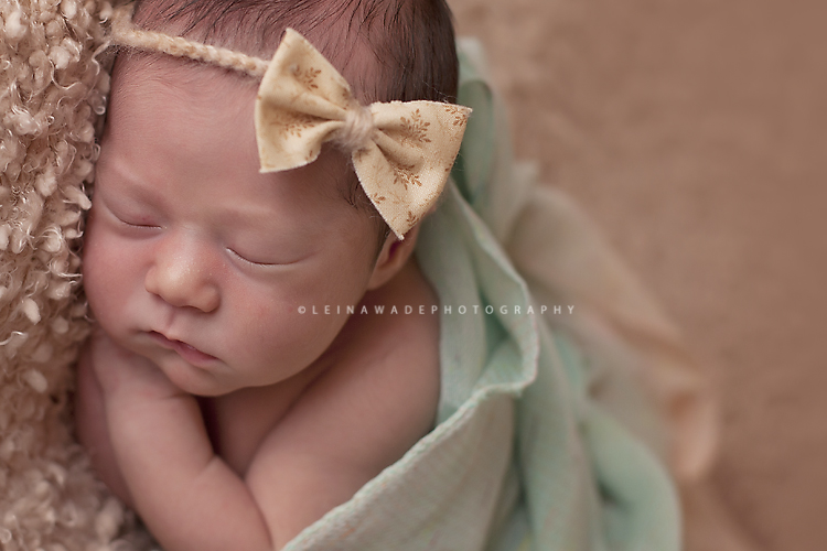 lower mainland baby photography