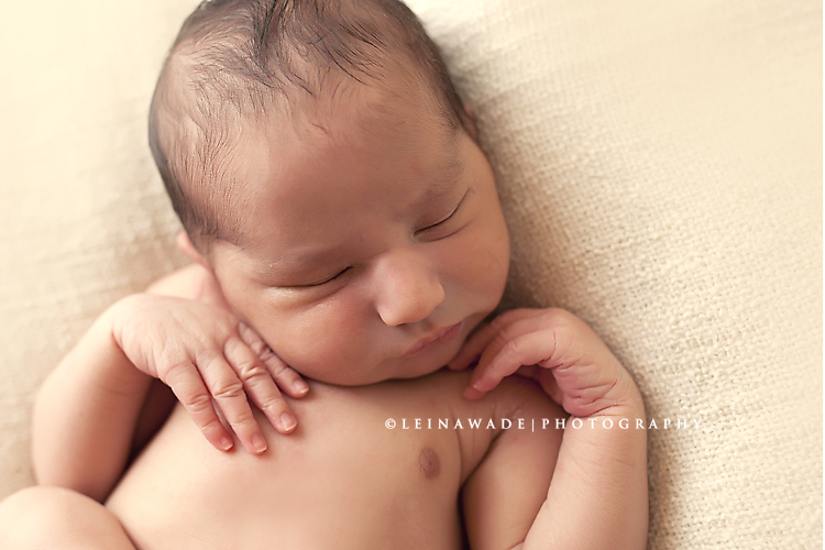 newborn photography coquitlam bc