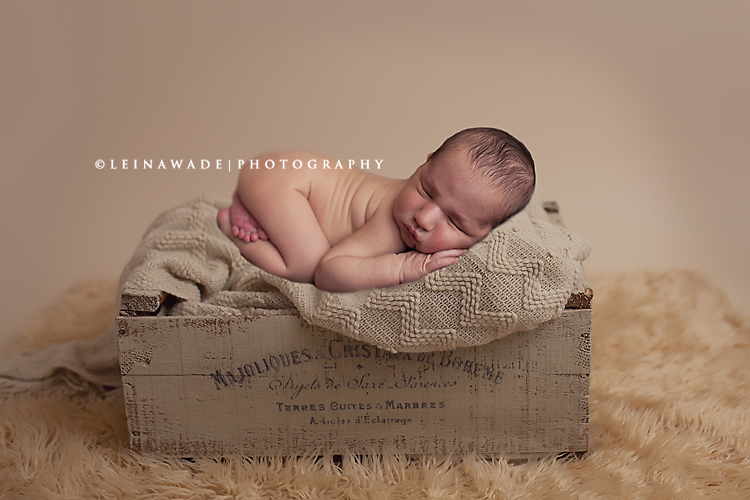 coquitlam bc baby photography