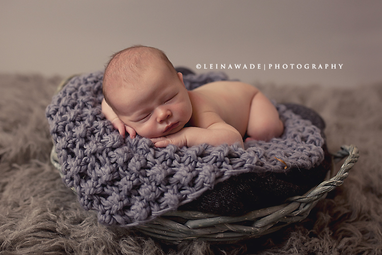 port coquitlam newborn baby photographer
