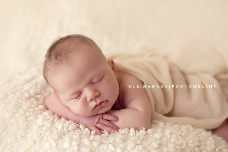 abbotsford professional baby photographers