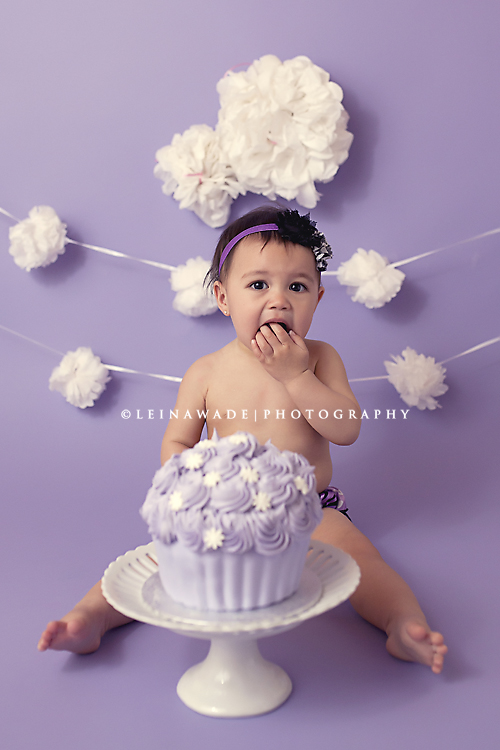 fraser valley baby photographers