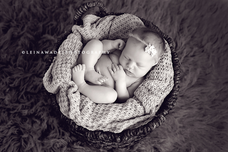pitt meadows newborn baby photographer