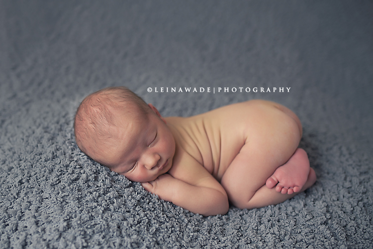 newborn baby photographer langley bc