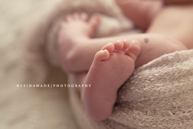 newborn baby photographer lower mainland