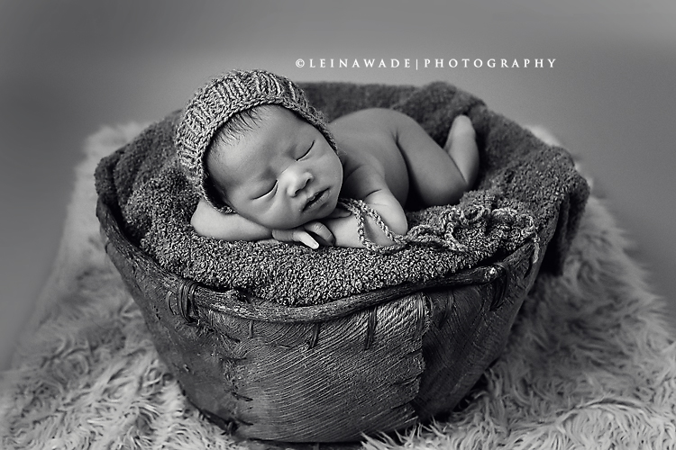 fraser valley newborn baby photographer
