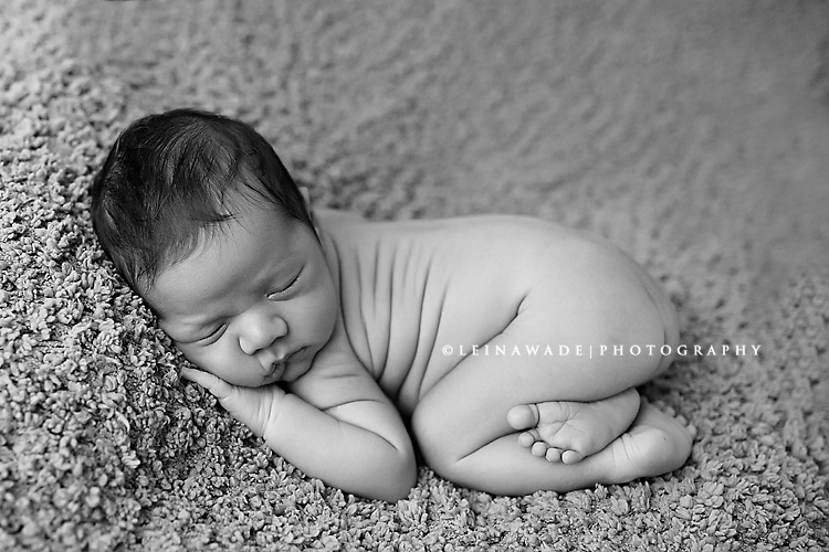surrey bc newborn baby photographer