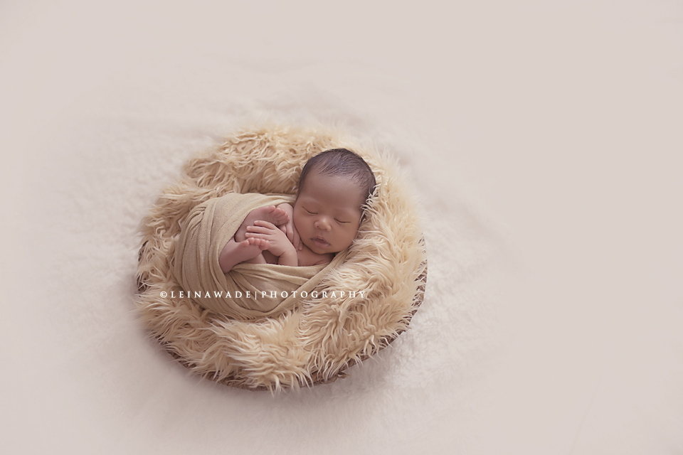 port moody infant and newborn photography