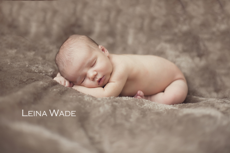 Maple Ridge Newborn Photos