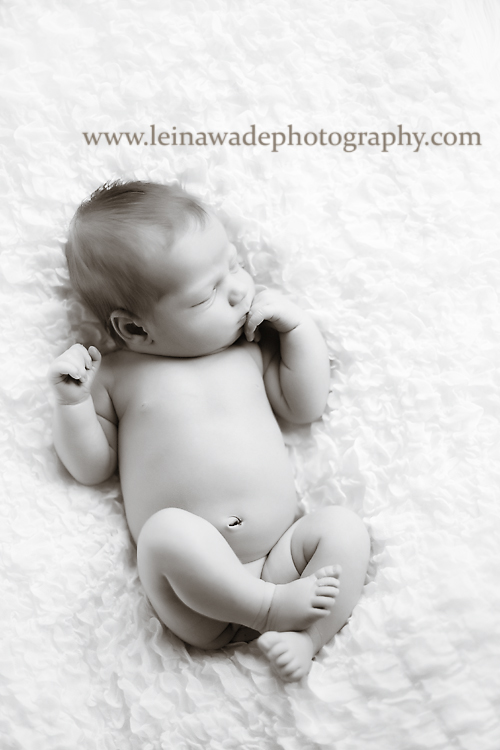 Lower Mainland Newborn Photography