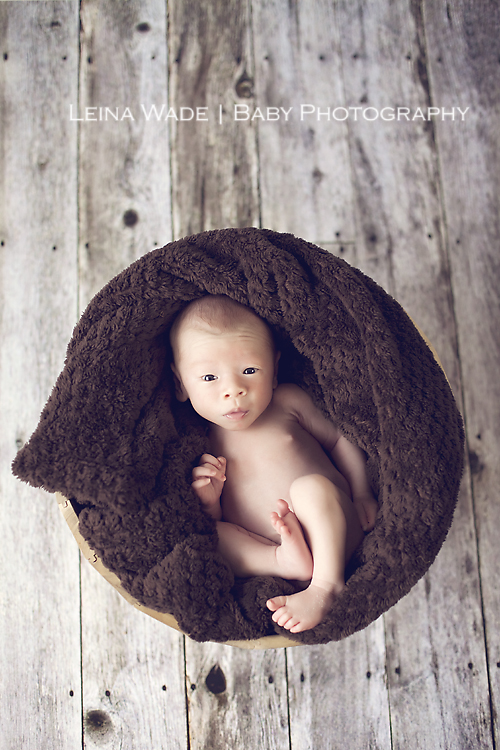 maple ridge baby photographer