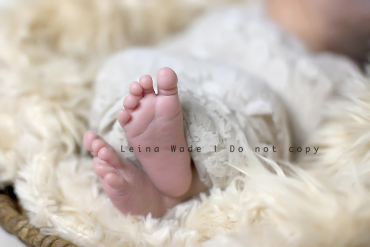 lower mainland bc newborn baby photographer