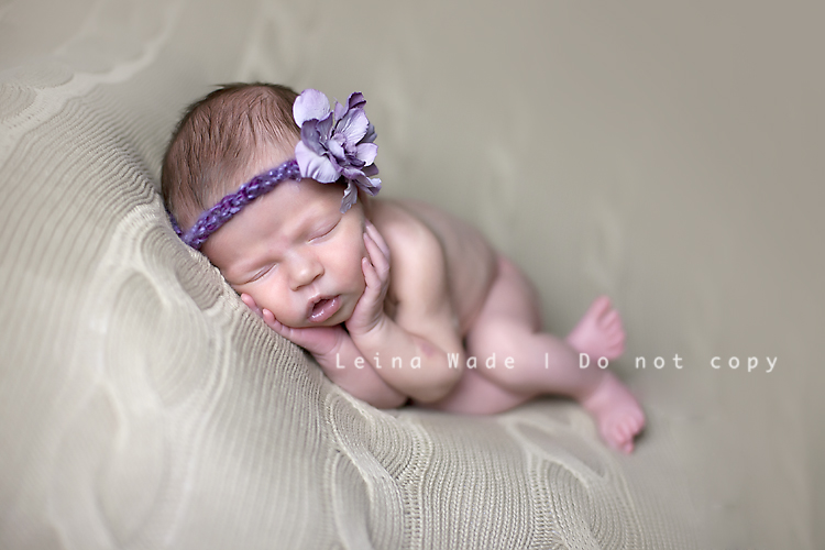 baby photography lower mainland bc