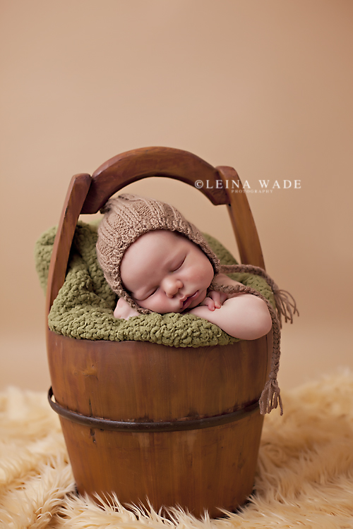 Langley BC Baby Photographer