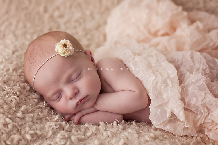 newborn baby photography vancouver bc