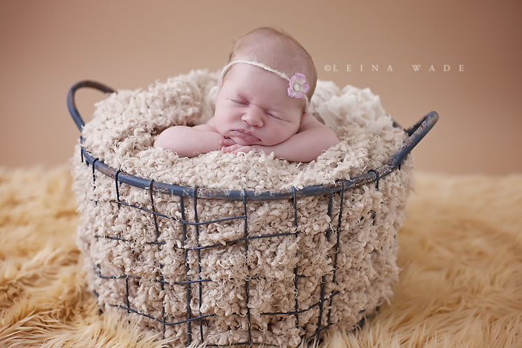 LOWER MAINLAND NEWBORN BABY PHOTOGRAPHY