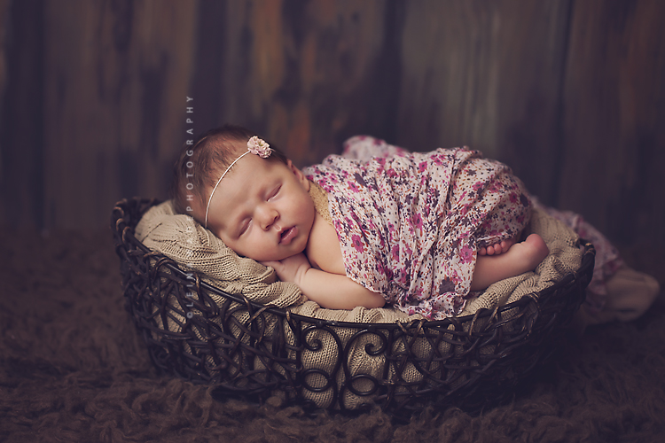 langley baby photography