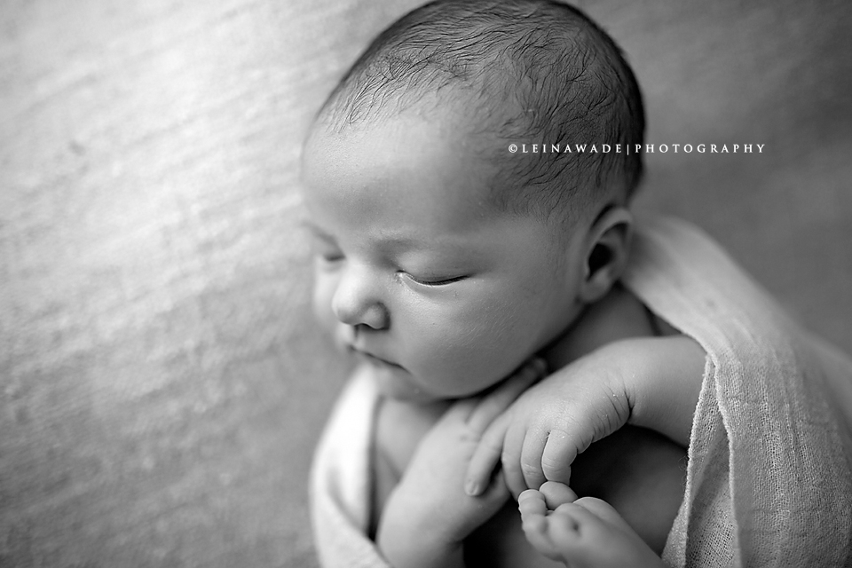 newborn baby photographer pitt meadows bc